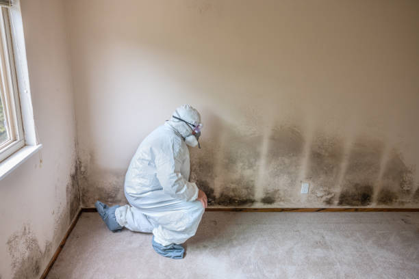 Best HVAC Mold Inspection and Cleaning  in Ashland, IL